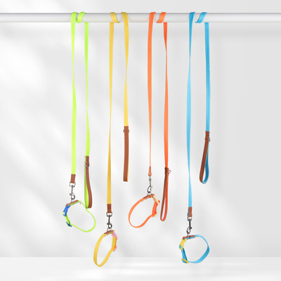 Pet Lightweight Multicolor Anti-Escape Pet Collar And Leash Set For Training Walking Dogs