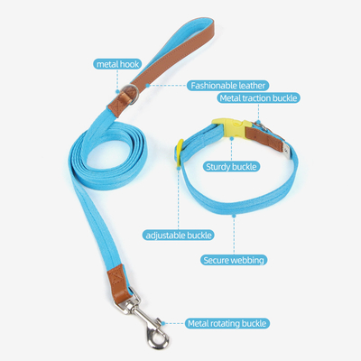 Pet Lightweight Multicolor Anti-Escape Pet Collar And Leash Set For Training Walking Dogs