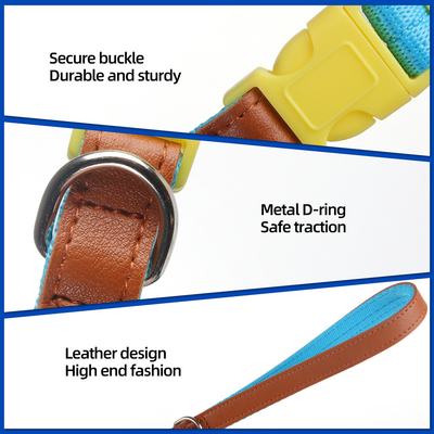 Pet Lightweight Multicolor Anti-Escape Pet Collar And Leash Set For Training Walking Dogs