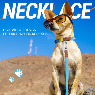 Pet Lightweight Multicolor Anti-Escape Pet Collar And Leash Set For Training Walking Dogs