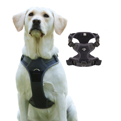 Football Pattern Breathable Pet Harness And Walking Leash Set For Medium And Large Dogs