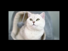 High Density foam 100 Microfiber tent Pet Bed Mat