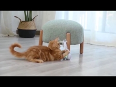 Electronic Intelligent Cat Tumbler Toy With Feather